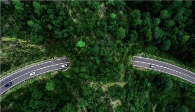 မျိုးသုဉ်း