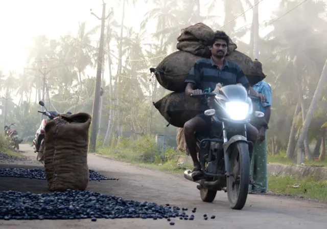 కాల్చిన జీడిపప్పు