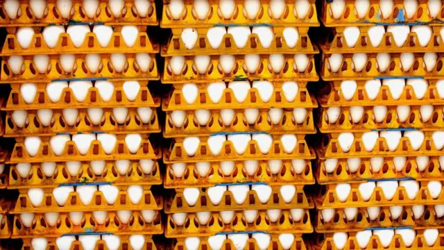 'முட்டைகளில் ஆன்டிபயாடிக் மருந்து' - சென்னை, நாமக்கலில் சோதனை - உணவுப் பாதுகாப்புத் துறை கூறுவது என்ன?