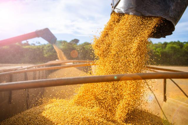 Máquinas armazenam soja em caminhão após a colheita no Mato Grosso