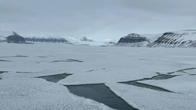 Трещины в морском льду