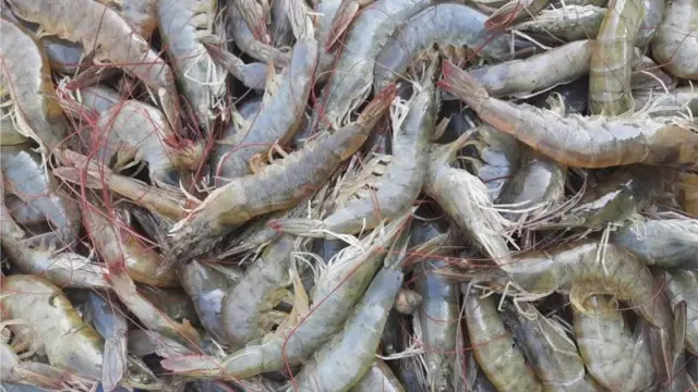 రొయ్యలు