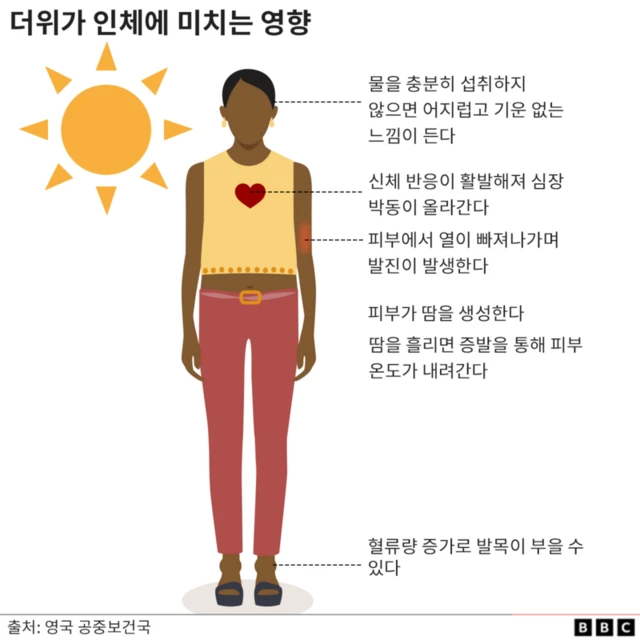 더위가 인체에 미치는 영향