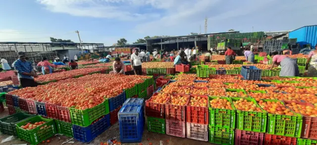 మార్కెట్లో టమాటా