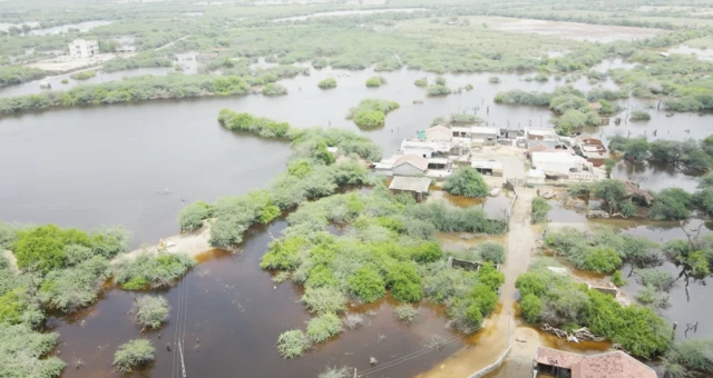 ગુજરાત: વાવના આ ગામમાં લોકો મૃત માછલીઓ વચ્ચે જીવવા મજબૂર, ગામના લોકોનો આરોપ, દલિત વિસ્તાર હોવાને કારણે આ સમસ્યા