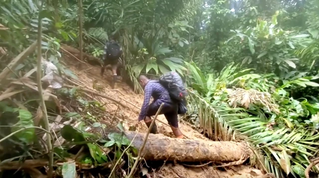 เดินเท้าฝ่าป่าฝน