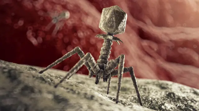 The phage has a five spindly legs a corkscrew body and then atop it sits an angular capsule. It looks like a cross between a moon lander, a sinister alien and a nightmare fuel insect.