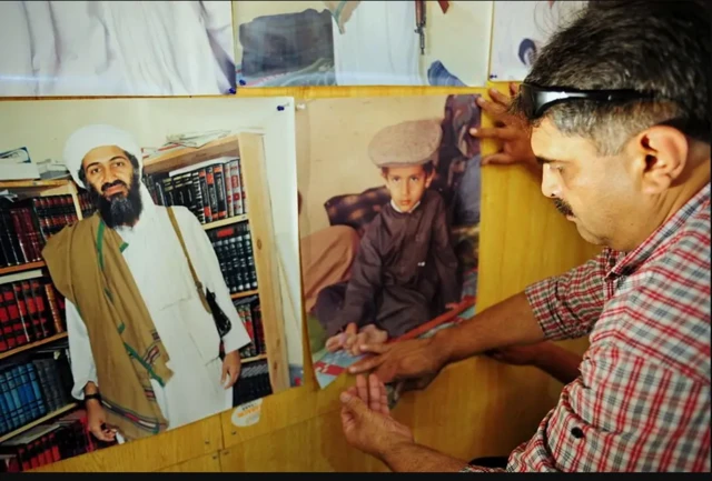 Tukli mushuk bilan oriq qiz