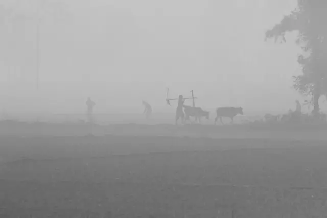 বাংলাদেশে সবচেয়ে বেশি শীত পড়ে উত্তরাঞ্চলে। (ফাইল ছবি)