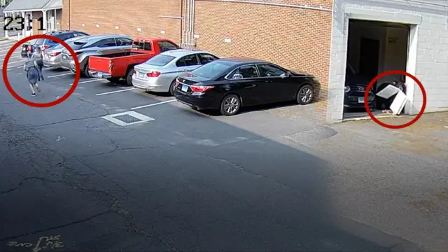 केक चोर्दै गरेको भालु