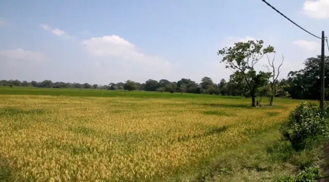 கிவுல் ஓயா திட்டம்