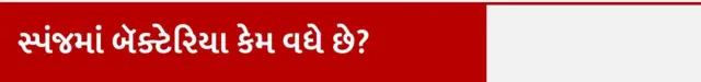 સ્પંજમાં બૅક્ટેરિયા કેમ વધે છે? રસોડા કિચનના સ્પંજ બ્રશમાં બૅક્ટેરિયા, કિચનની સફાઈ ટીપ્સ, કિચનનું સ્પંજ ક્યારે બદલવું જોઈએ કેવી રીતે સાફ રાખવું જોઈએ, બીબીસી ગુજરાતી સાથે સમજો, બીબીસી ન્યૂઝ ગુજરાતી 