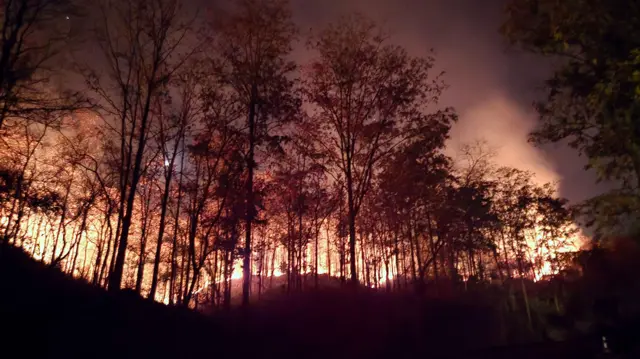 दाङको घोराहीनजिकैको जङ्गलमा लागेको आगो