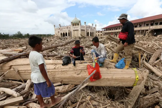 Petugas Kementerian Kehutanan dan Dinas Kehutanan Provinsi Aceh mengambil sampel kayu gelondongan yang terbawa arus luapan Sungai Tamiang, di area pasantren Islam Terpadu Darul Mukhlishin, Desa Tanjung Karang, Aceh Tamiang, Aceh, Jumat (19/12/2025).