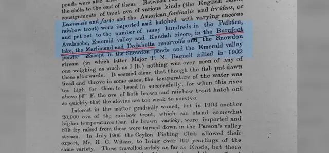 நீலகிரி, ட்ரௌட் மீன், பர்ன்ஃபூட் ஏரி