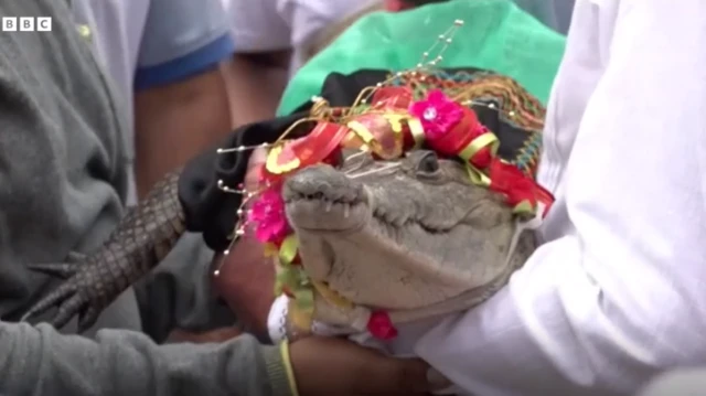 Huuruun Naacha [misirroo] kanaa hidhamee ture