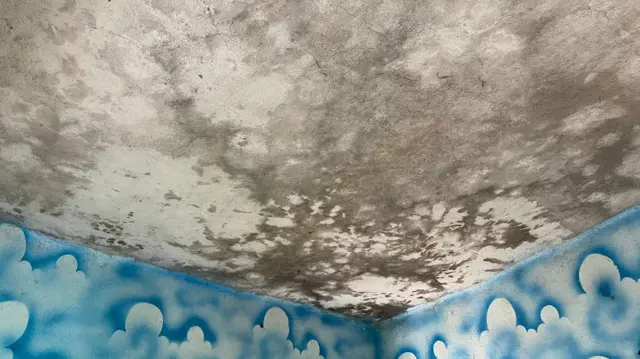 शाळेची दुरावस्था