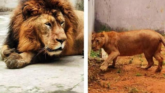 'அக்பர்' மற்றும் 'சீதா' வின் பெயர்களை மாற்றுவது தொடர்பான கொல்கத்தா உயர் நீதிமன்றத்தின் உத்தரவு சொல்வது என்ன?