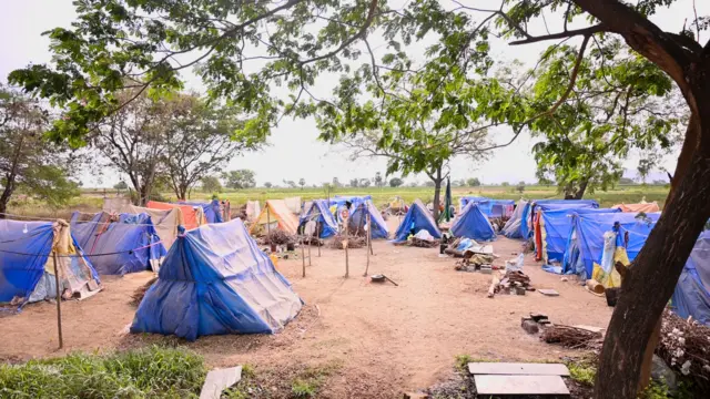 ఆంధ్రప్రదేశ్, వ్యవసాయ రంగం, వలస కూలీలు