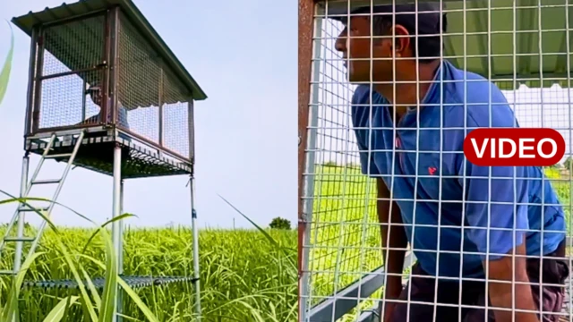 బోనులో రైతు