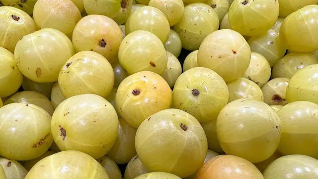 আমলকি