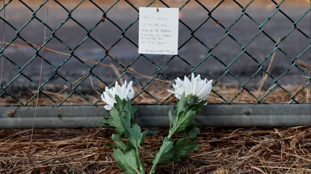 Jeju air, kecelakaan, pesawat