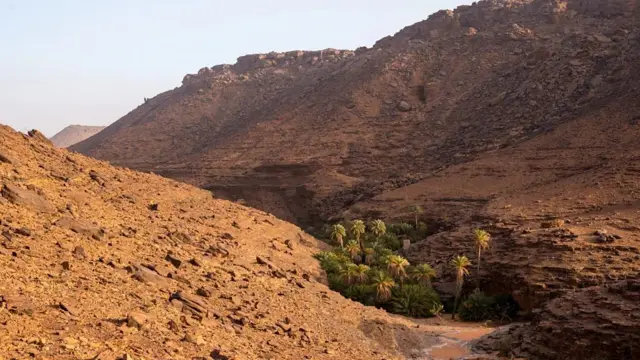 واحة ترجيت الصحراوية