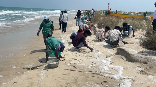 கேரள கடலில் மூழ்கிய சரக்குக் கப்பல்: தனுஷ்கோடி பகுதிக்குப் புதிய அபாயம் – என்ன நடக்கிறது?