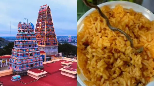 உணவில் பாம்பு, கிருஷ்ணகிரி செய்திகள், ஒசூர் செய்திகள், பாம்பு