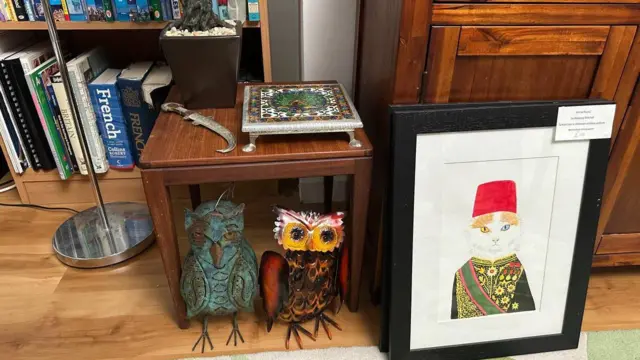 ربیکا د رقص او پوهنتون کې د تدریس سره سم نقاشي کوي او د زاړه شوو کسانو لپاره ویولن غږوي.