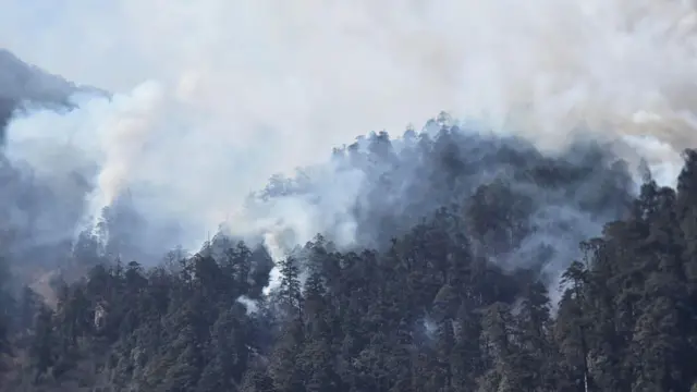 मनाङको तिमाङ जङ्गलमा कैयौँ दिनदेखि डढेलो निभ्न सकेको छैन