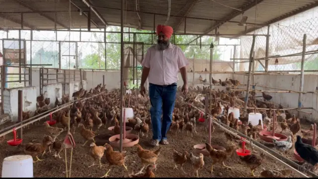 ਗੁਰਦੀਪ ਸਿੰਘ, ਪੌਲਟਰੀ ਫਾਰਮ