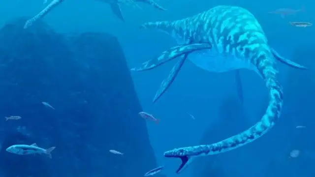 Berbagai penelitian belum berhasil menemukan bukti bahwa Nessie sesungguhnya adalah seekor plesiosaurus.