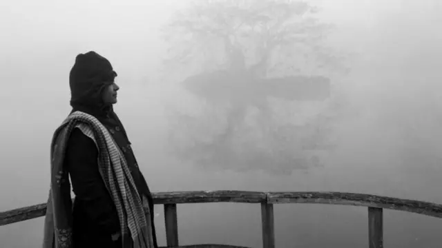 বাংলাদেশের অনেক জেলাতেই এমন ঘন কুয়াশা পড়ছে