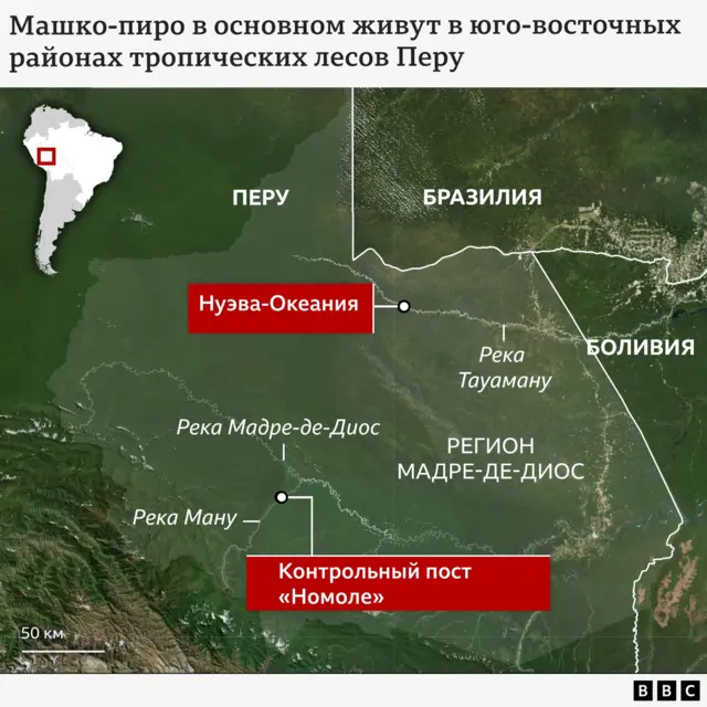 Карта, показывающая юго-восток Перу и прилегающие районы Бразилии и Боливии, с выделением региона Мадре-де-Диос. На карте обозначены реки Ману, Мадре-де-Диос и Тахуману, деревня Нуэва-Океания возле реки Тахуману и контрольный пункт «Номоле» возле реки Ману