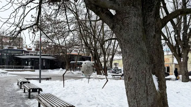 Площа у Вільнюсі, де Сурановасу передали посилки