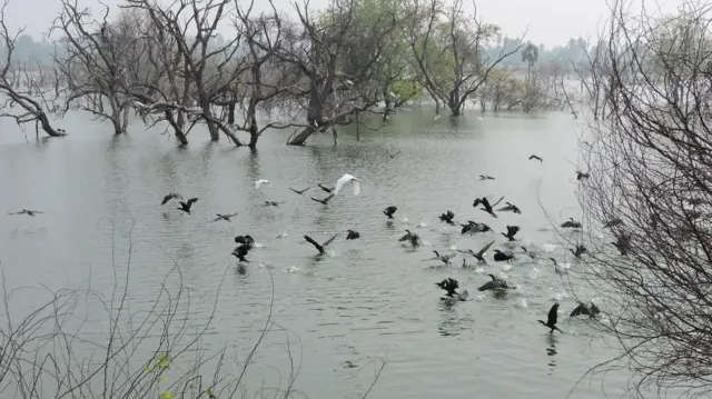 எலத்தூர் குளம், நாகமலை குன்று, பாரம்பரிய பல்லுயிர் தலம், தமிழ்நாடு அரசு