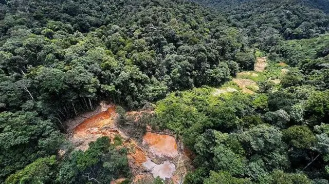 Trecho de floresta degradada pelo garimpo