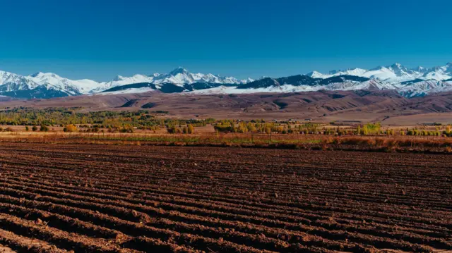 Топурак изилдөөчү Жусуп Ташировдун айтымында, Кыргызстандагы айдоо жерлердин 80 пайызы деградацияга учураган