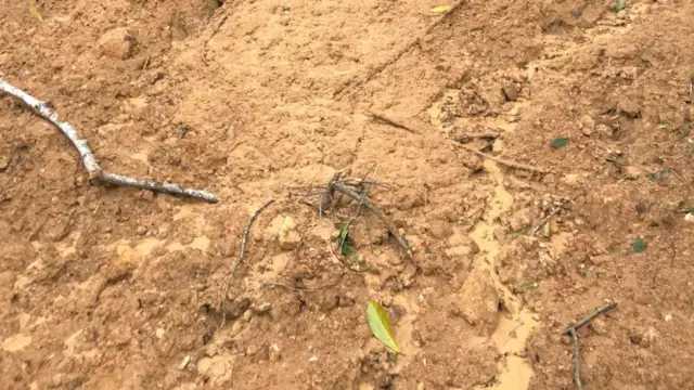 දින දෙකක පමණ කාලයක් පුරා ප්රදේශයේ පිහිටි දොළේ වතුර මඩ පැහැ ගැන්වී තිබීම හේතුවෙන් ප්රදේශවාසීන් කන්ද පිළිබඳව විමසිලිමත්ව සිට තිබේ