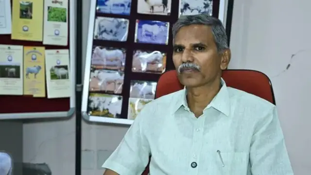 બીબીસી ગુજરાતી, ગુજરાત, બ્રાઝિલ, બીબીસી, ગાય, 41 કરોડ રૂ.