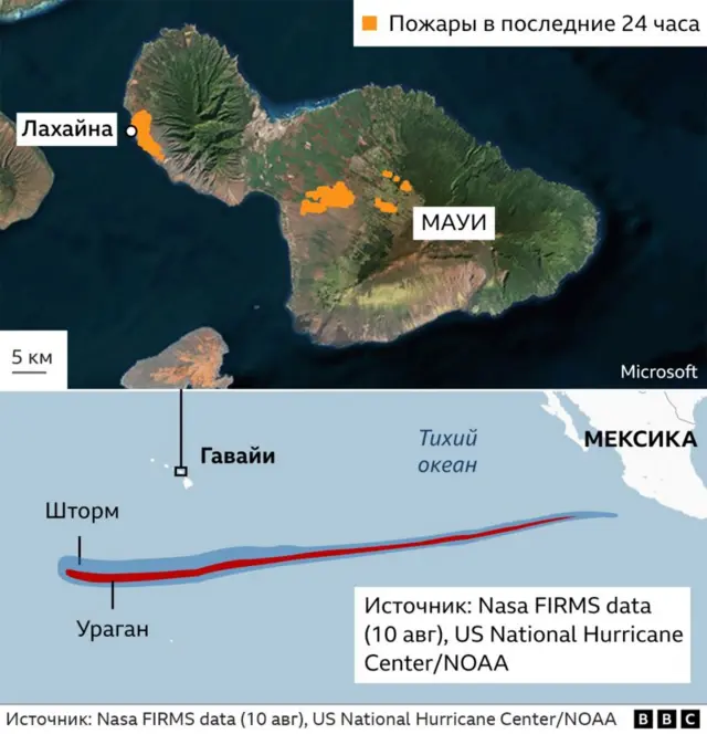 Күндүн адаттан тыш ысышынан улам көп жерлерди өрт каптады