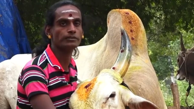 திருநங்கை