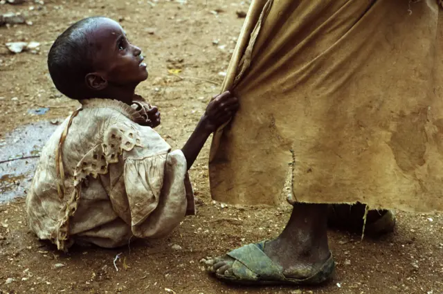 Ilmo yar o macaluuli hayso