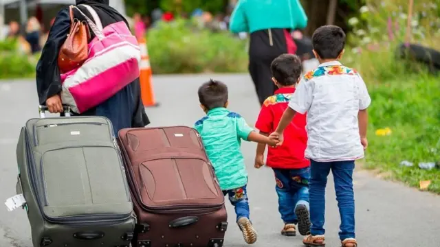 Kaanaadaan maaliif baqattootaa simachu barbaaddee laata?