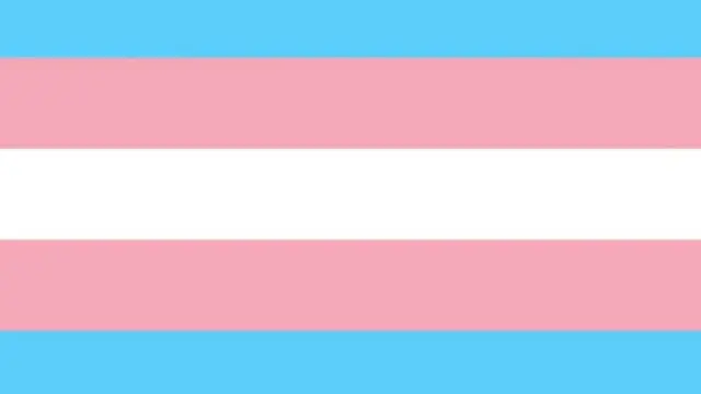 trans bayrağı