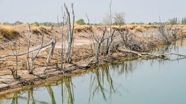 PANUMAS SANGUANWONG/BBC THAI