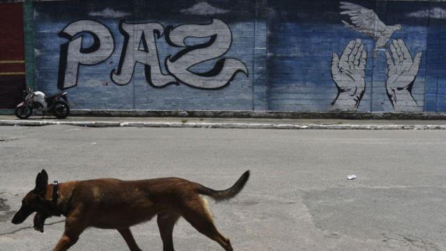 mural com a palavra Paz na Favela Morro do Chapadao, RJ