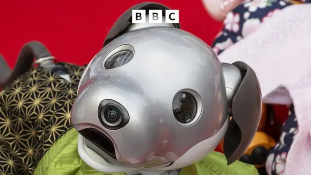 Aibo robot köpek