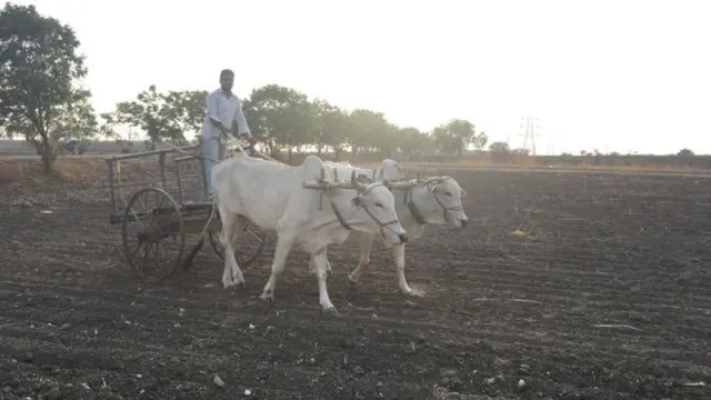తెలంగాణ రెవెన్యూ వ్యవస్థ